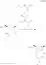 Fig. 20 - OLIGONUCLEOTIDE