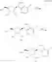 Fig. 23 - OLIGONUCLEOTIDE