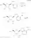 Fig. 24 - OLIGONUCLEOTIDE