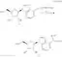 Fig. 25 - OLIGONUCLEOTIDE