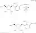 Fig. 26 - OLIGONUCLEOTIDE