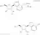 Fig. 29 - OLIGONUCLEOTIDE