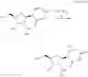 Fig. 35 - OLIGONUCLEOTIDE