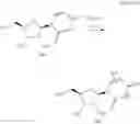 Fig. 37 - OLIGONUCLEOTIDE