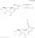 Fig. 38 - OLIGONUCLEOTIDE