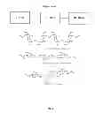 Fig. 02 - Polysaccharide therapeutic conjugates