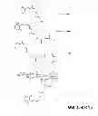Fig. 07 - Polysaccharide therapeutic conjugates
