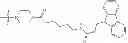 Fig. 586 - Functionally-modified oligonucleotides and subunits thereof