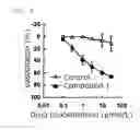 Fig. 06 - COLLATERAL BLOOD CIRCULATION DEVELOPMENT PROMOTER