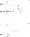 Fig. 06 - Thiol-selective water-soluble polymer derivatives