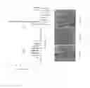 Fig. 11 - METHOD OF USING CARBON NANOTUBES FUEL PRODUCTION