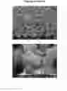 Fig. 02 - Hydrocarbon Conversion Process and Molecular Sieve of MFS Framework Type With Controllable Average Size
