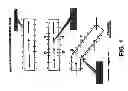 Fig. 02 - METHOD FOR MODULATING THE ENTERIC NERVOUS SYSTEM TO TREAT A DISORDER