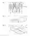 Fig. 06 - Emulation of sensory stimuli, emanating from a reference person, for a child