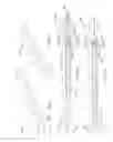 Fig. 04 - Penile prosthesis implantation device