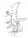 Fig. 01 - DEVICES AND METHODS FOR OBTAINING PHYSIOLOGICAL DATA