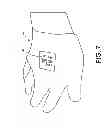 Fig. 07 - DEVICES AND METHODS FOR OBTAINING PHYSIOLOGICAL DATA