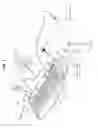 Fig. 02 - REMOTE MEDICAL DIAGNOSIS DEVICE INCLUDING BIO-MOUSE AND BIO-KEYBOARD, AND METHOD USING THE SAME