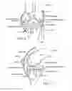 Fig. 07 - Method for detecting body parameters