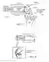 Fig. 09 - Method for detecting body parameters