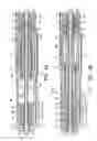 Fig. 05 - GRAPHICAL USER INTERFACE FOR TISSUE BIOPSY SYSTEM