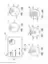 Fig. 13 - GRAPHICAL USER INTERFACE FOR TISSUE BIOPSY SYSTEM