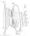 Fig. 10 - ADHERENT DEVICE WITH MULTIPLE PHYSIOLOGICAL SENSORS