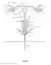 Fig. 10 - Specimen observation, collection, storage and preservation devices and methods of use
