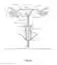 Fig. 11 - Specimen observation, collection, storage and preservation devices and methods of use