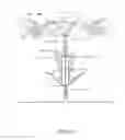 Fig. 13 - Specimen observation, collection, storage and preservation devices and methods of use