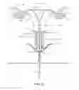 Fig. 14 - Specimen observation, collection, storage and preservation devices and methods of use