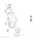 Fig. 11 - POUCH CONTAINING LIQUID WITH THERAPEUTIC EFFECT