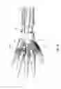 Fig. 18 - Orthopedic Cast and Method to Manufacture Same