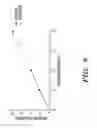 Fig. 18 - Compositions and methods for controlling neuronal excitation