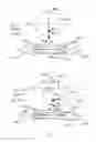 Fig. 15 - Apparatus and method using near infrared reflectometry to reduce the effect of positional changes during spinal cord stimulation