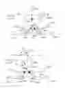 Fig. 23 - Apparatus and method using near infrared reflectometry to reduce the effect of positional changes during spinal cord stimulation