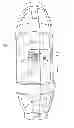 Fig. 03 - System and method for locking a carrier/container for tracking, controlling access, and providing delivery confirmation
