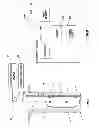 Fig. 02 - Method and system of resin evaluation using pulsed neutron tools