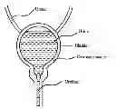 Fig. 01 - Method for Urodynamics Testing and Analysis