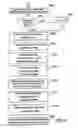 Fig. 07 - METHOD AND SYSTEM FOR USING MULTI-FUNCTION CARDS FOR STORING, MANAGING AND AGGREGATING REWARD POINTS