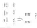 Fig. 18 - Adaptive experimentation and optimization in automated promotional testing