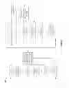 Fig. 07 - Systems and methods for identifying hidden talent