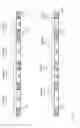 Fig. 05 - Fast identification of complex strings in a data stream