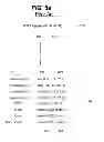 Fig. 08 - Streaming memory transpose operations