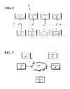 Fig. 02 - INTERACTIVE CONTENT AND PLAYER