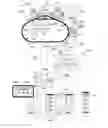 Fig. 02 - Networks, systems and methods for enhanced auto racing