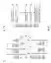 Fig. 07 - Audio/video channel transbonding in a network device