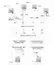 Fig. 01 - Differentiating between good and bad content in a user-provided content system