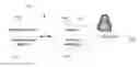 Fig. 01 - Event driven second factor credential authentication