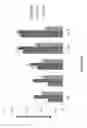 Fig. 07 - Sequence of porcine ROSA26 locus and methods of using the same